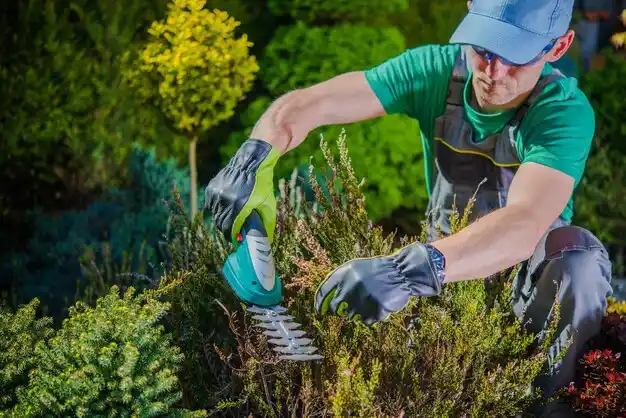landscaping services Earlington